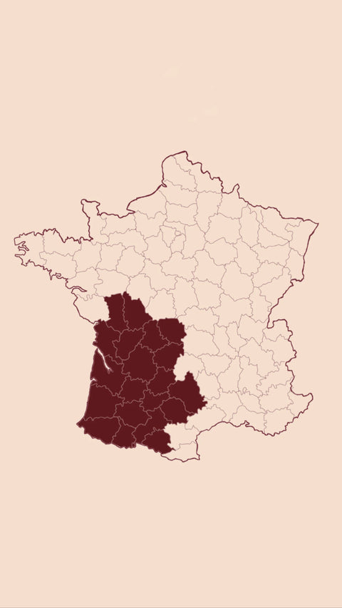 editions papier guide papier adresses vente voyage artisanat gastronomie