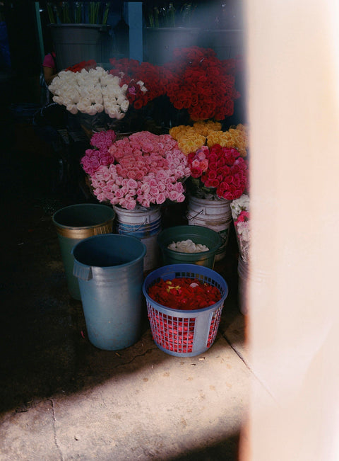 LE PORTFOLIO D'ALIX PARDO