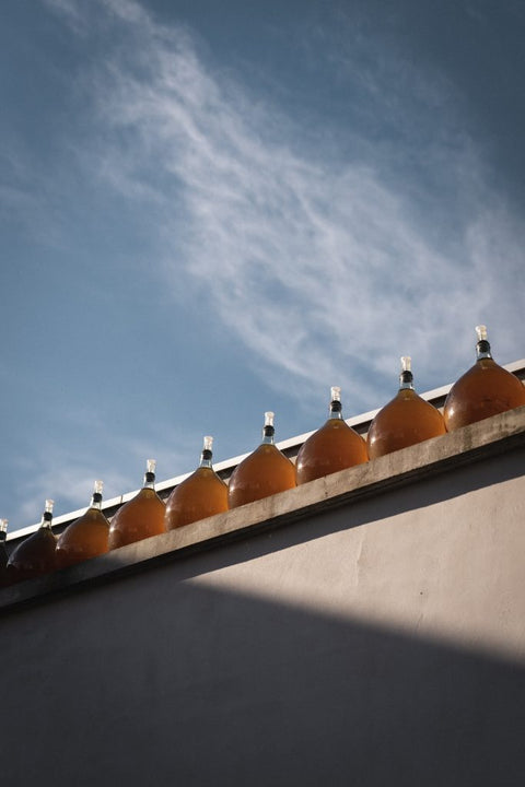 Guide Pinard livre vin nature le vin naturel pour les nuls biodynamie meilleur livre vin nature idée cadeaux vin magazine vin amateurs de vin macération guide pinard bourgogne jura roussillon loire demeter vignerons ecolos guide papier biarritz vin vivant