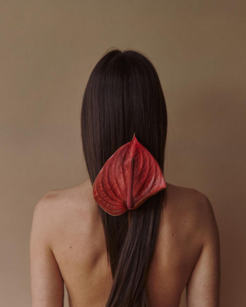 bien-être sud ouest pays basque bonnes adresses