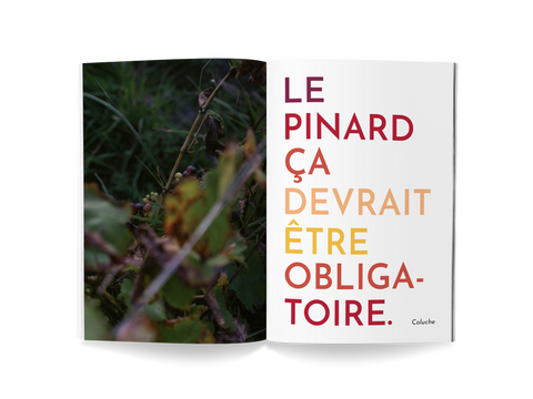 Guide Pinard livre vin nature le vin naturel pour les nuls biodynamie meilleur livre vin nature idée cadeaux vin magazine vin amateurs de vin macération guide pinard bourgogne jura roussillon loire demeter vignerons ecolos guide papier biarritz vin vivant